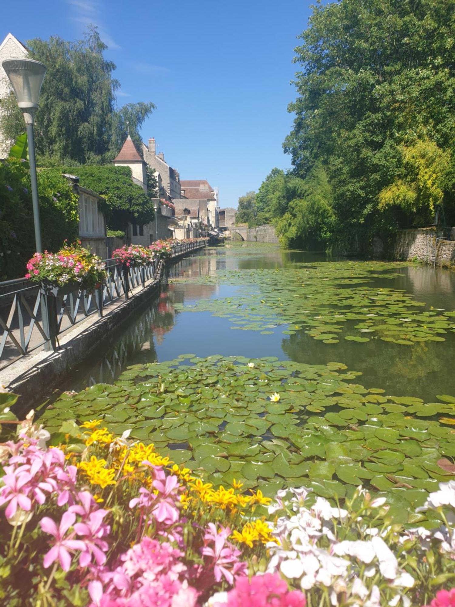 Le Matin Calme - Charme Ancien - Vue Canal Apartment Dole Exterior photo